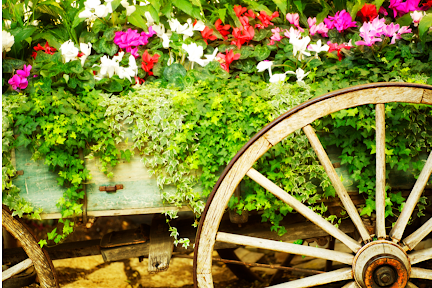 How To Build A DIY Flower Bed For Beginners