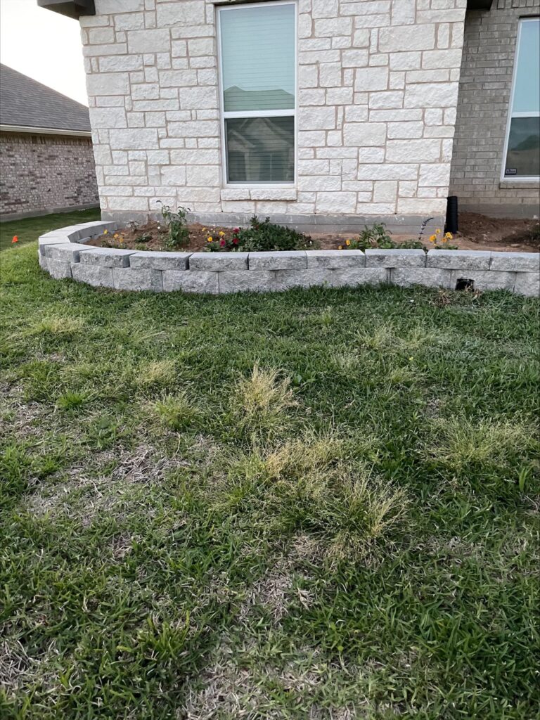 11C58A1B-F01B-4D1A-80B6-524E0ADC5B7F